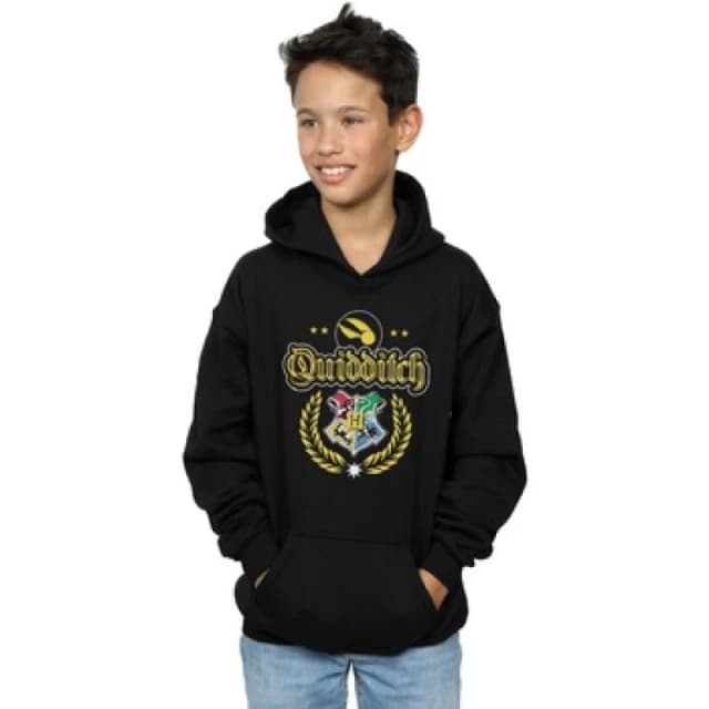 Harry Potter Quidditch Crest Hoodie Black male