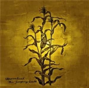 The Laughing Stalk by Woven Hand CD Album
