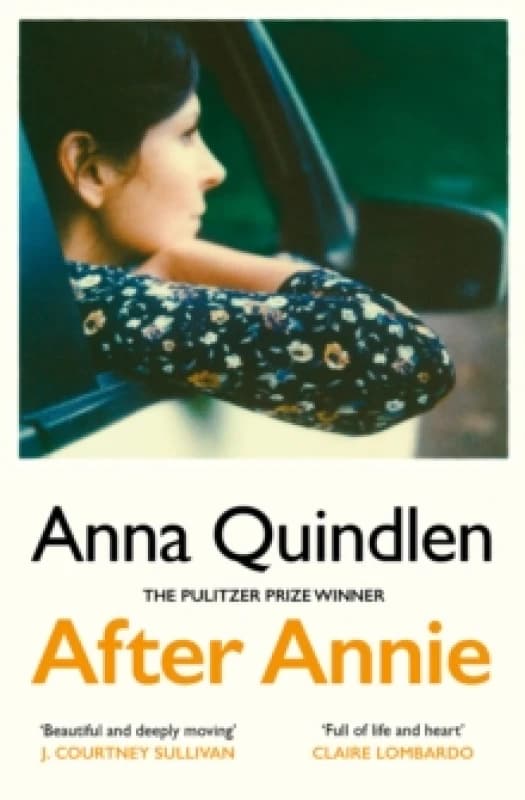 After Annie Paperback / softback