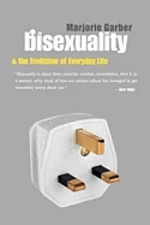 bisexuality and the eroticism of everyday life