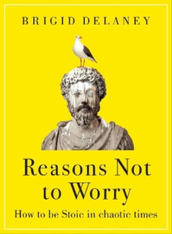 Reasons Not to Worry. Hardback. By Brigid Delaney Books