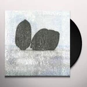 Distant Animals - Lines Vinyl