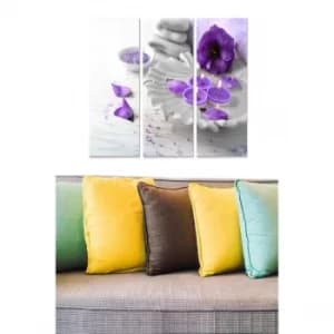 MDF8393024 Multicolor Decorative MDF Painting (3 Pieces)