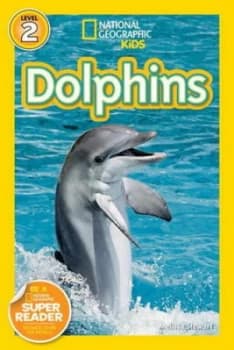 Dolphins by Melissa Stewart Book