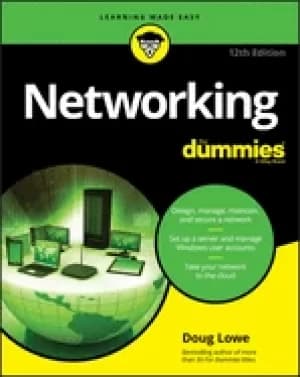 networking for dummies