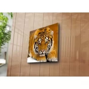 4545NAT-6 Multicolor Decorative Canvas Painting