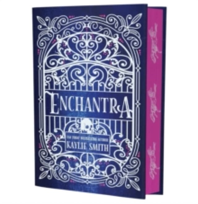 Enchantra : A spicy fantasy romance Hardback