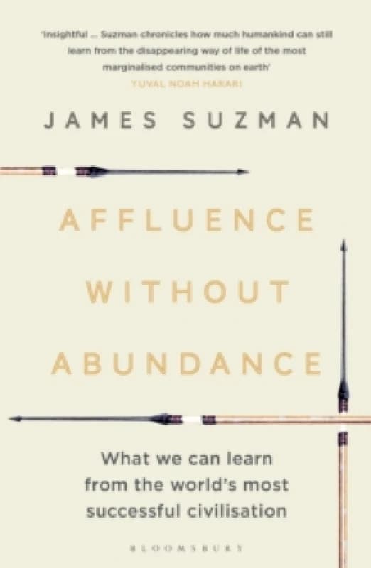 Affluence Without Abundance : What We Can Learn from the World's Most Successful Civilisation Paperback / softback
