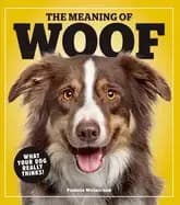 meaning of woof what your dog really thinks