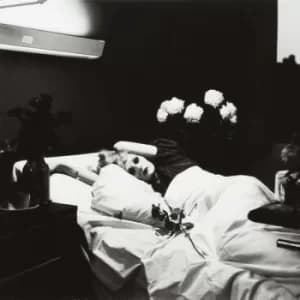Antony And The Johnsons ‎- I Am A Bird Now Vinyl