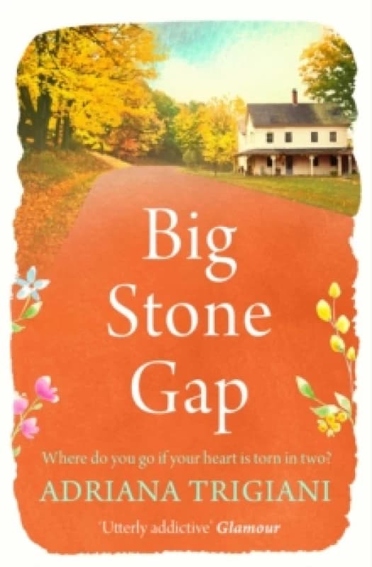 Big Stone Gap Paperback / softback