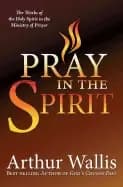 pray in the spirit the work of the holy spirit in the ministry of prayer