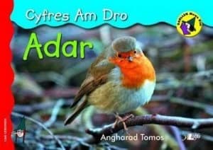 Adar by Angharad Tomos Paperback