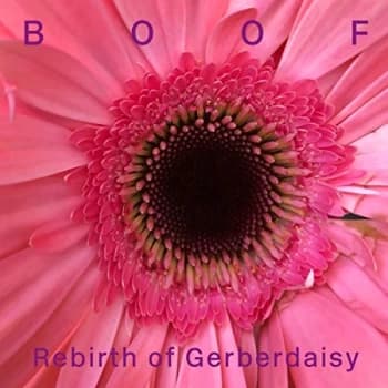 Boof - Rebirth Of Gerberdaisy Vinyl
