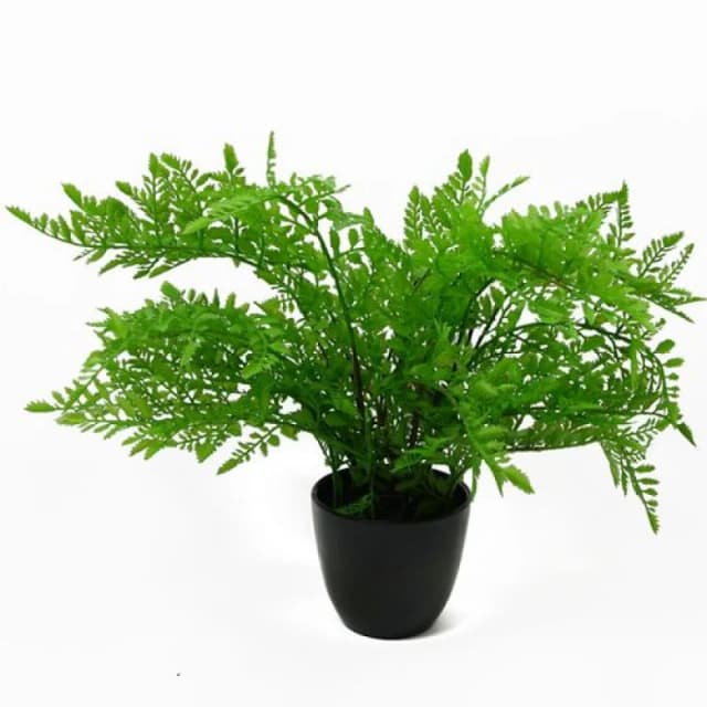Leaf 30cm Artificial Potted Southern Wood Fern Black Pot Green
