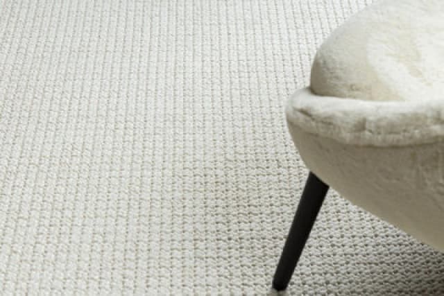RugsX Carpet Casablanca Loop White Loop, Soft 60X100 Cm
