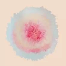 When Words Flew Freely