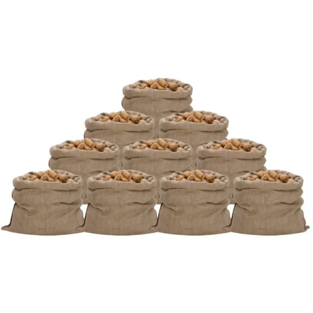 Vidaxl Jute Sacks 10 Pcs 100X110 Cm 100% Jute 340 Gsm, Brown 155788