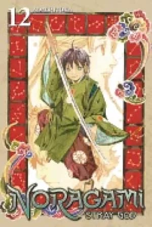 noragami stray god volume 12