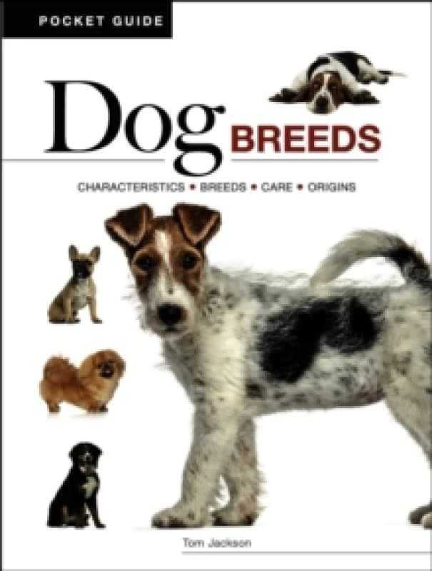 Dog Breeds : Characteristics * Breeds * Care * Origins Paperback / softback