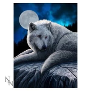 Guardian of The North 3D Picture