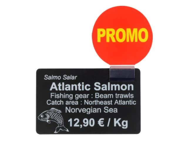 Evolis AC000006 Promotional Badge and Crystal Fixing Clip (Pack of 25)