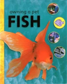 Owning a Pet Fish by Ben Hoare Hardback