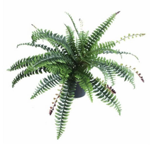 Leaf Artificial Boston Fern Plant - 60Cm Boston Fern