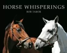 Horse Whisperings : Portraits by Bob Tabor