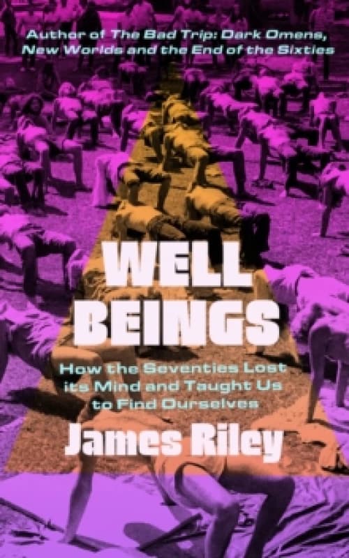 Well Beings : How the Seventies Lost Its Mind and Taught Us to Find Ourselves Paperback / softback