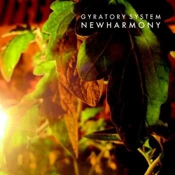 Gyratory System - New Harmony