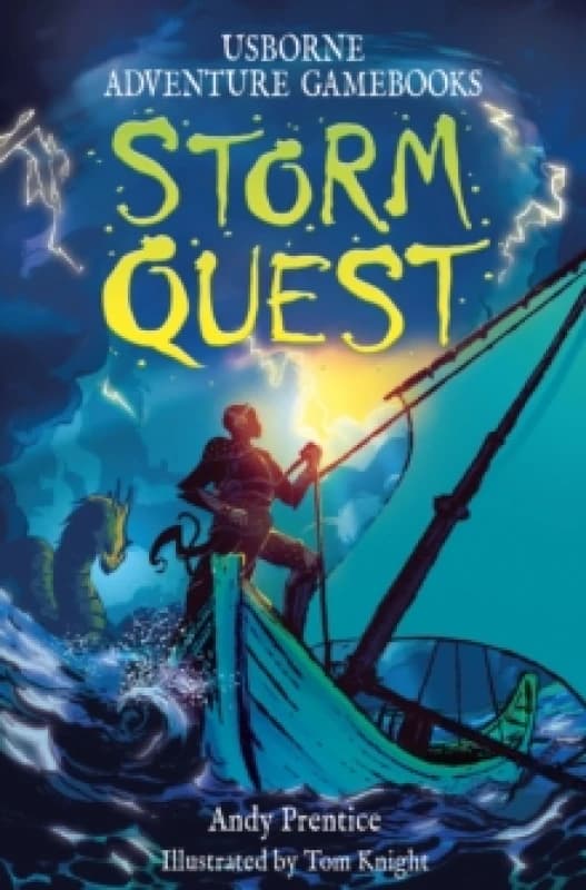 Storm Quest Paperback / softback