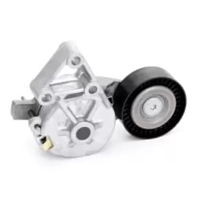 INA Tensioner Lever, v-ribbed belt VW,AUDI,FORD 534 0132 30 038903315AE,038903315F,1122523 1376631,YM216K254AA,YM216K254EA,038903315AE,038903315F