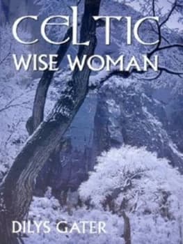 Celtic Wisewoman by Dilys Gater Paperback