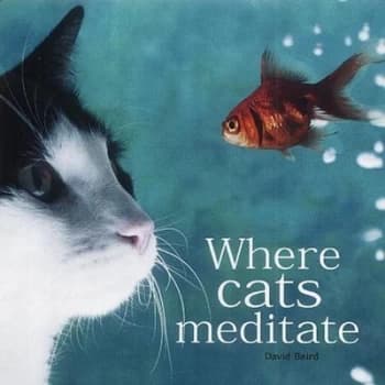 Where Cats Meditate Hardback