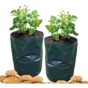 St Helens Potato Grow Bag, Pack Of 2