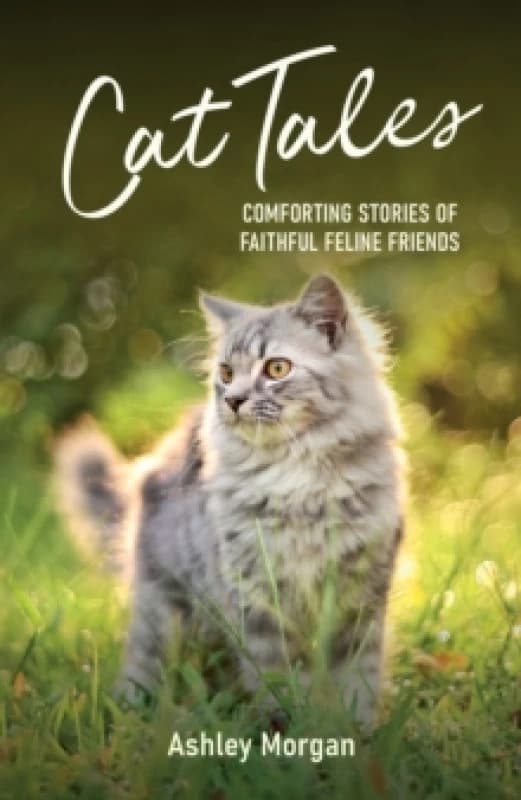 Cat Tales : Comforting Stories of Faithful Feline Friends Paperback / softback