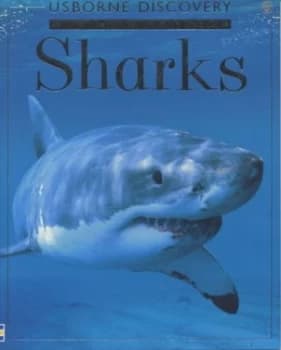 Sharks by Jonathan Sheikh-Miller and Gillian Doherty and Theresa Greenaway and Frances Dipper and John Woodcock Paperback