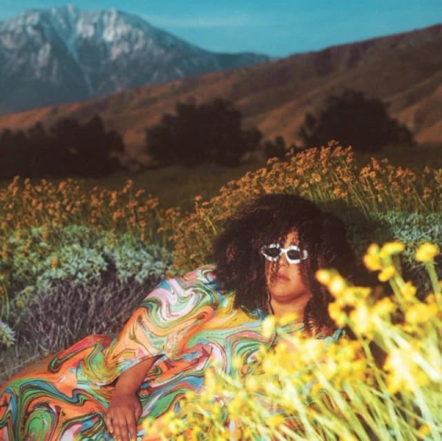 Brittany Howard - WHAT NOW CD Album - Used