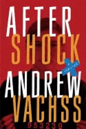 aftershock a thriller