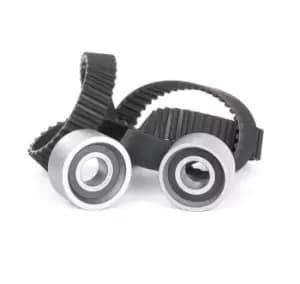 INA Timing belt kit 530 0117 10 Timing belt set,Cam belt kit OPEL,RENAULT,FIAT,Movano Kastenwagen (X70),Movano Bus (X70)