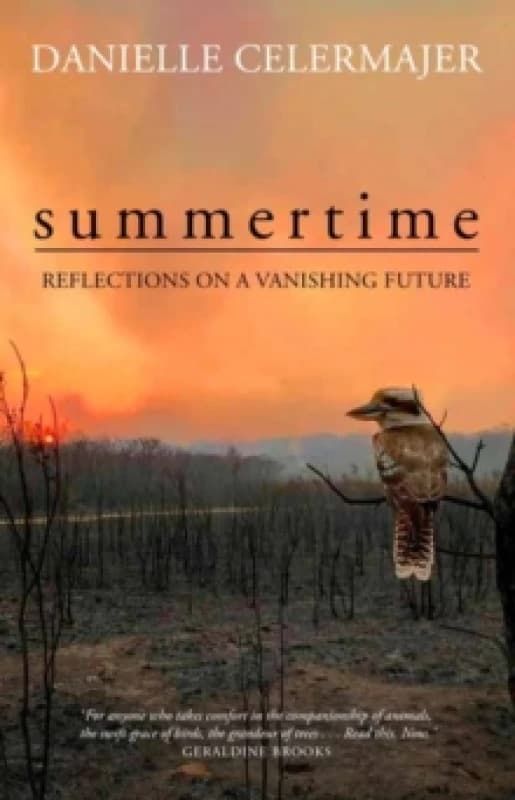 Summertime : Reflections on a Vanishing Future Paperback / softback