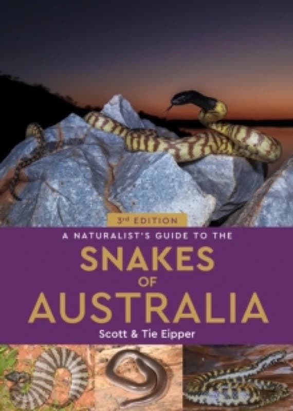 A Naturalist's Guide to the Snakes of Australia Paperback / softback