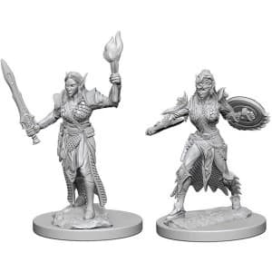 Pathfinder Deep Cuts Unpainted Miniatures Elf Female Fighter