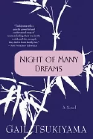 night of many dreams a novel