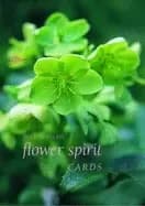 Flower spirit cards by Melanie Eclare