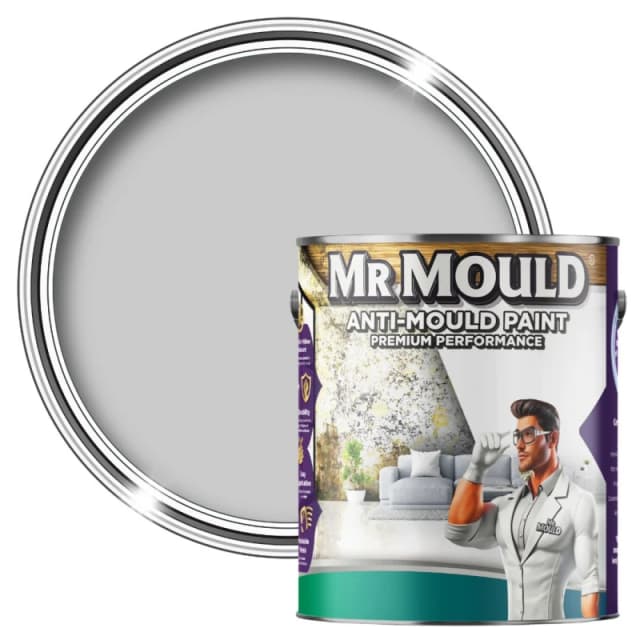 MR MOULD Anti-Mould Paint - 1L - Best Anti Mould Protection Paint for all Interior Walls & Ceilings in Dove Grey Dove Grey Unisex 1L