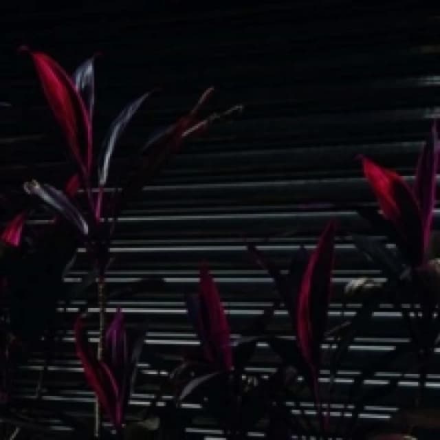 This New Heaven Vinyl