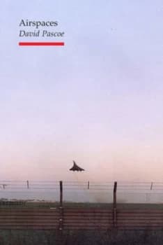 Airspaces by David Pascoe Paperback