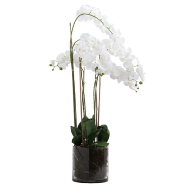 Hill Interiors Large White Tall Orchid In Glass Pot